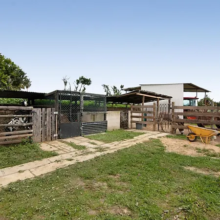 Ferienhaus Casa Xarem - Vinhas De Nexe Distrikt Faro