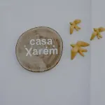 Casa Xarem - Vinhas De Nexe