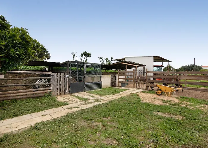 Casa Xarem - Vinhas De Nexe Casa de Férias