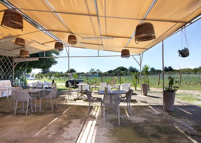 Casa de Férias Casa Xarem - Vinhas De Nexe *